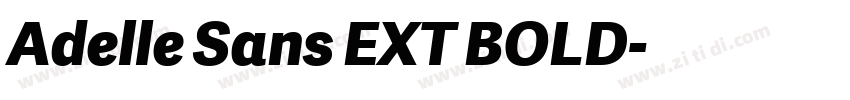 Adelle Sans EXT BOLD字体转换 Adelle Sans EXT BOLD字体转换